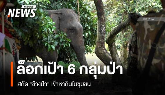 ล็อกเป้า 6 กลุ่มป่า สกัด "ช้าง" เข้าหากินในชุมชน