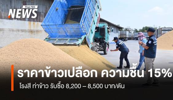 ข้าวเปลือก ความชื้น 15% โรงสี-ท่าข้าว รับซื้อ 8,200 – 8,500 บาท/ตัน