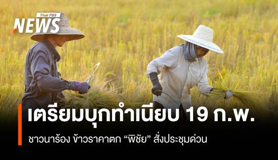 ชาวนาทั่ว ปท.จ่อบุกทำเนียบ 20 ก.พ.ร้องราคาข้าวตกหนัก