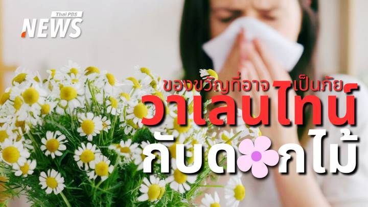 วาเลนไทน์ต้องใส่ใจ! วิธีเลือกดอกไม้ให้คนแพ้เกสรที่ไม่เสี่ยงอันตราย