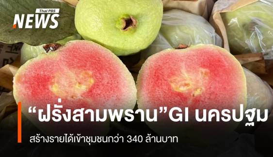 “ฝรั่งสามพราน” สินค้าGI ของดีนครปฐม  สร้างรายได้กว่า 340 ล้านบาท