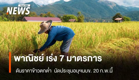 พาณิชย์ เร่ง 7 มาตรการ ดันราคาข้าว นัดประชุมอนุฯนบข. 20 ก.พ.นี้ 