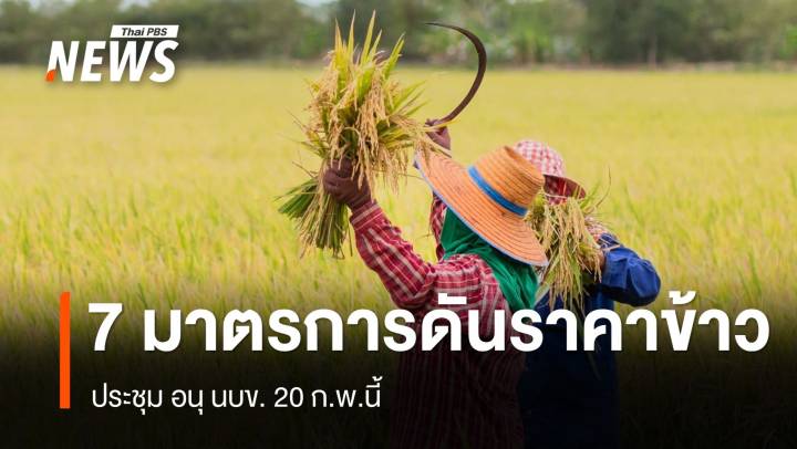 เปิด 7 มาตรการเร่งดันราคาข้าว ประชุมอนุ นบข.20 ก.พ.นี้ 