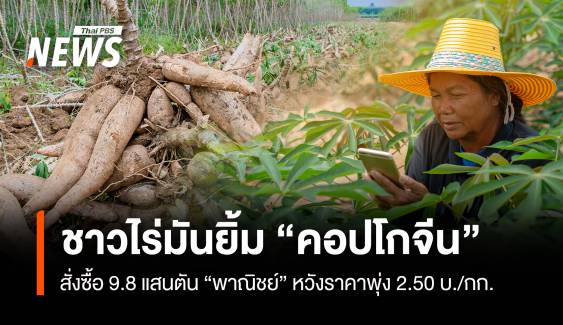 ชาวไร่มันยิ้ม “คอปโกจีน”สั่งซื้อ 9.8 แสนตัน “พาณิชย์”หวังราคาพุ่ง 2.50 บ/กก.