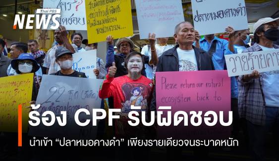 เรียกร้อง CPF รับผิดชอบปลาหมอคางดำระบาด