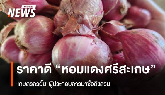 “หอมแดงศรีสะเกษ” เกษตรกรยิ้ม ขายได้ราคา ผปก.ซื้อถึงสวน