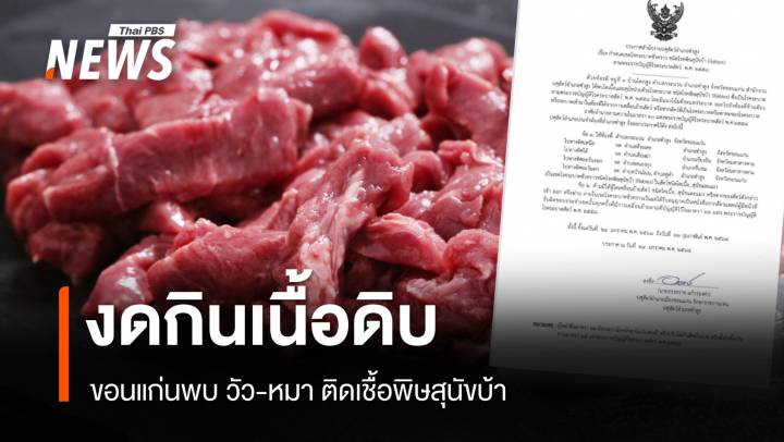 งดกินเนื้อดิบ! ขอนแก่นพบ วัว-หมา ติดเชื้อพิษสุนัขบ้า