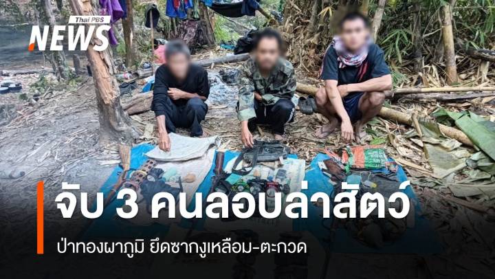 จับ 3 คนลอบล่าสัตว์ป่าทองผาภูมิ ยึดซากงูเหลือม-ตะกวด