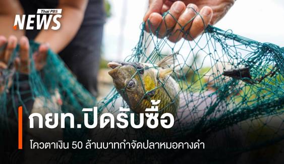 กยท.ปิดโควตารับซื้อปลาหมอคางดำครบวงเงิน 50 ล้าน