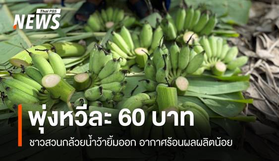 ราคาพุ่ง "กล้วยน้ำว้า" ฉุดไม่อยู่ขายหวีละ 80 บาท 