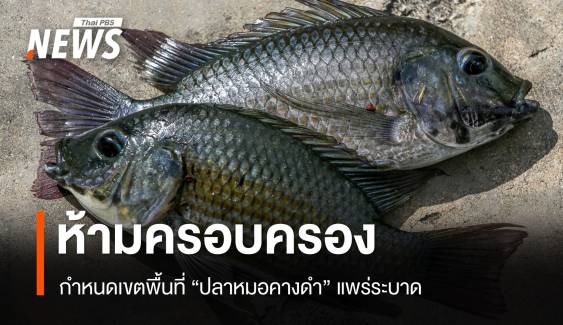 ราชกิจจาฯ ประกาศห้ามครอบครอง "ปลาหมอคางดำ" กำหนดพื้นที่ระบาด