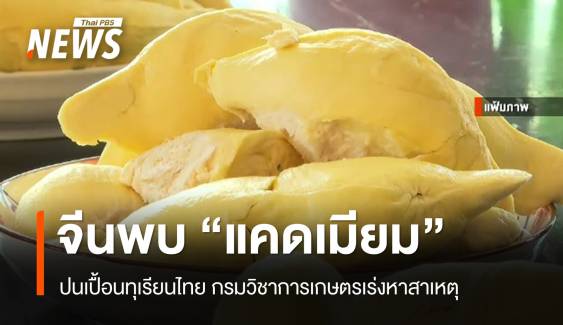 จีนพบทุเรียนไทยปนเปื้อนแคดเมียม กรมวิชาการเกษตรเร่งหาสาเหตุ