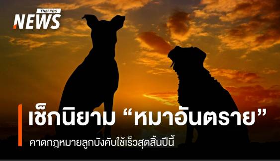 เช็กนิยาม "หมาอันตราย" คาดกฎหมายลูกบังคับใช้เร็วสุดสิ้นปีนี้