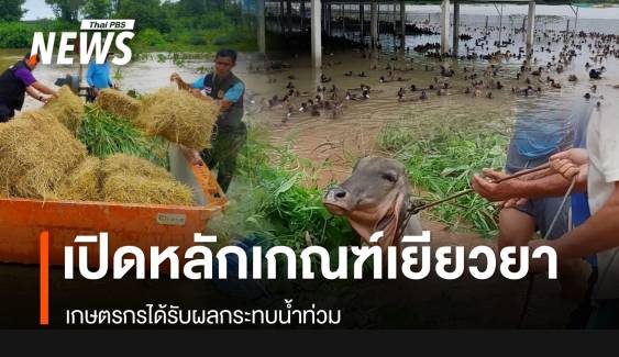 เปิดหลักเกณฑ์เยียวยาเกษตรกรได้รับผลกระทบน้ำท่วม 