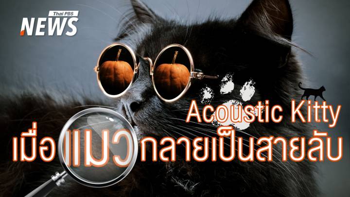 เรารู้อะไรจาก Acoustic Kitty โครงการสัตว์สายลับฉบับ "เหมียว" 