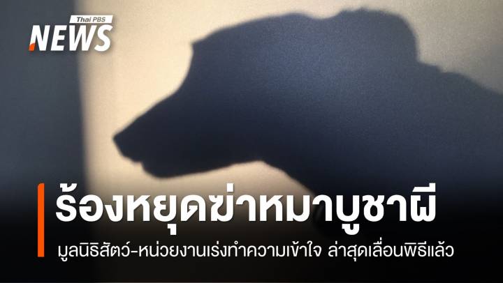 มูลนิธิสัตว์-โซเชียล ร้องหยุด "ฆ่าหมาบูชาผี"