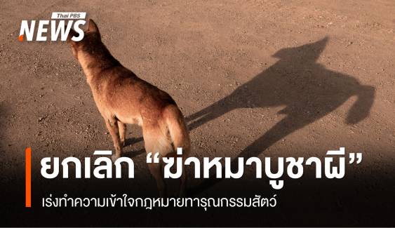 ยกเลิก "ฆ่าหมาบูชาผี" เร่งทำความเข้าใจ กม.ทารุณกรรมสัตว์