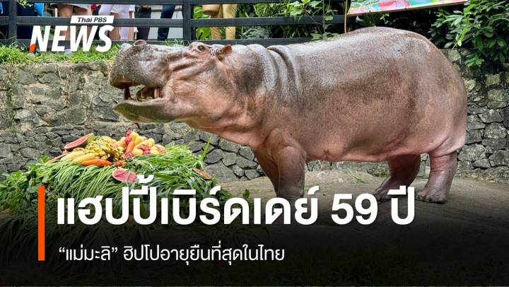 แฮปปี้เบิร์ดเดย์ 59 ปี “แม่มะลิ” ฮิปโปอายุยืนที่สุดในไทย