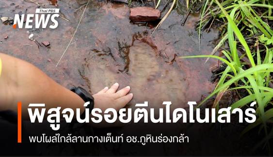 เร่งพิสูจน์ร่องรอยคล้าย "รอยตีนไดโนเสาร์" ภูหินร่องกล้า