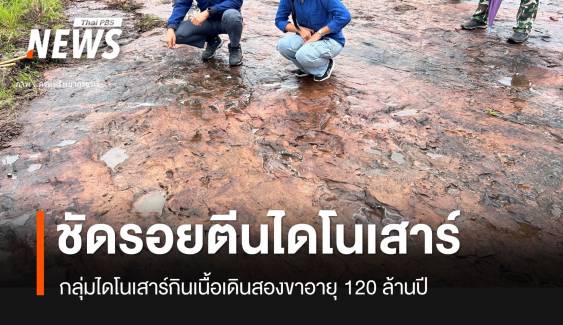 ชัดเจนรอยปริศนาภูหินร่องกล้า รอยตีนไดโนเสาร์ "กลุ่มเทอโรพอด" 