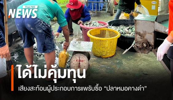 เสียงสะท้อนผู้ประกอบการ "แพรับซื้อปลาหมอคางดำ" ได้ไม่คุ้มทุน