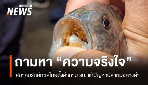 สมาคมรักษ์ทะเลไทยถามหา "ความจริงใจ" รบ.แก้ปัญหาปลาหมอคางดำ