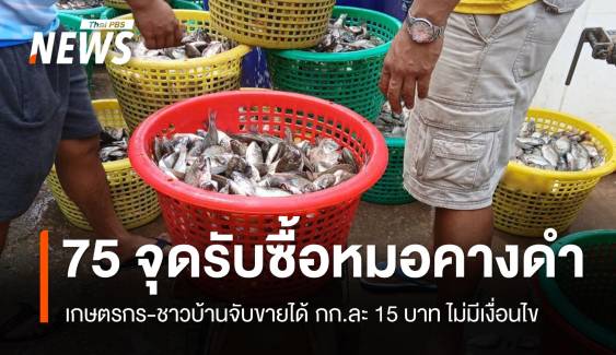 เช็ก 75 จุดรับซื้อ "ปลาหมอคางดำ" กก.ละ 15 บาท ย้ำไม่มีเงื่อนไข