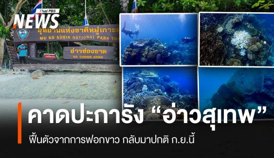 อช.หมู่เกาะสุรินทร์ คาดปะการังฟอกขาว "อ่าวสุเทพ" ฟื้นตัว ก.ย.นี้ 