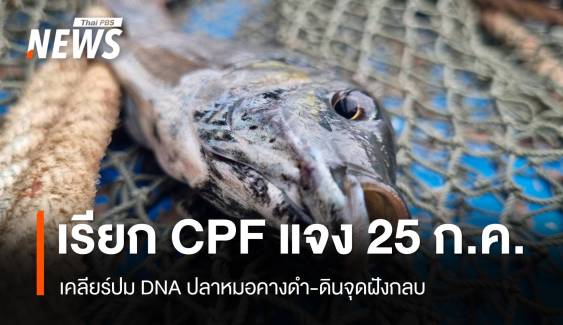 จ่อเรียก CPF แจงปมปลาหมอคางดำระบาด 25 ก.ค.