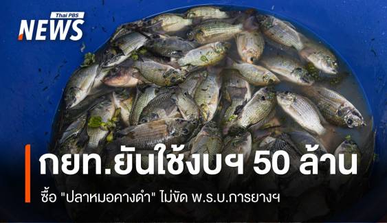 กยท.ยันใช้ 50 ล้านซื้อ "ปลาหมอคางดำ" ไม่ขัด พ.ร.บ.การยางฯ