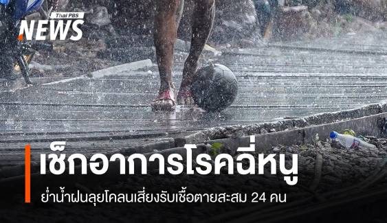 เช็กอาการ "โรคฉี่หนู" ระบาดหน้าฝนติดเชื้อ 1,952 ตาย 24 คน