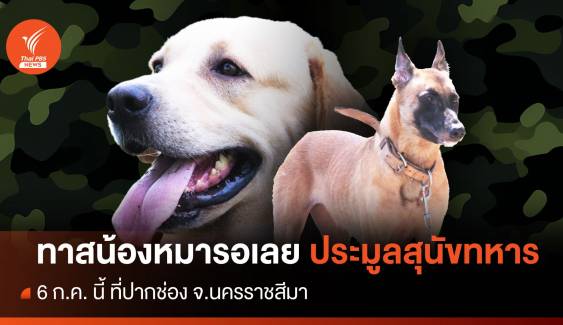 คนรักสุนัขต้องรู้ ก่อนไปงานประมูลสุนัขทหาร 6 ก.ค. นี้