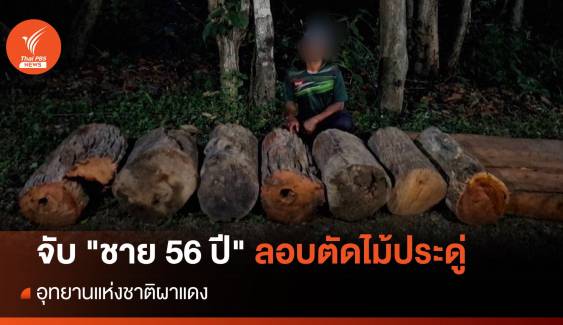 บุกจับ "ชาย 56 ปี" ลอบตัดไม้ประดู่อุทยานฯ ผาแดง