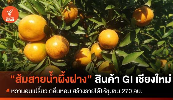 “ส้มสายน้ำผึ้งฝาง” สินค้า GI เชียงใหม่ หวานอมเปรี้ยว กลิ่นหอม 