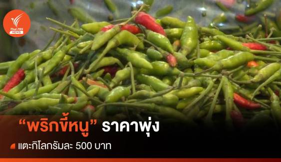 แพงมาก! พริกขี้หนู ราคาพุ่งแตะกิโลกรัมละ 500 บาท