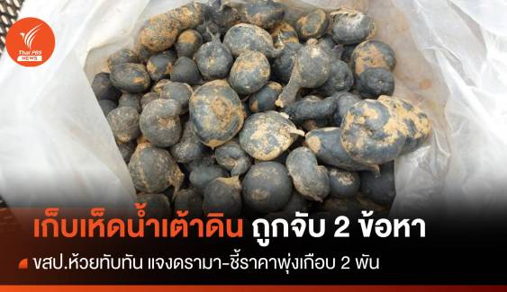 มีคำตอบ! ชาวบ้านถูกจับ 2 ข้อหา"เก็บเห็ดน้ำเต้าดิน" ป่าห้วยทับทัน 