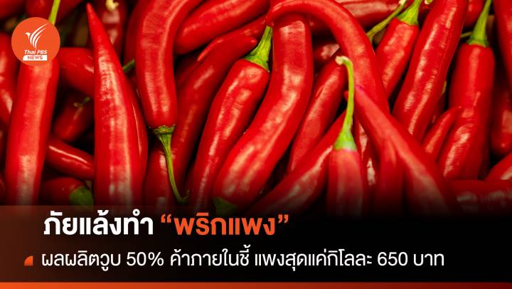  ภัยแล้งทำ "พริก" ราคาแพง ผลผลิตวูบ 50 % ชี้แพงสุดแค่กิโลละ 650 บาท