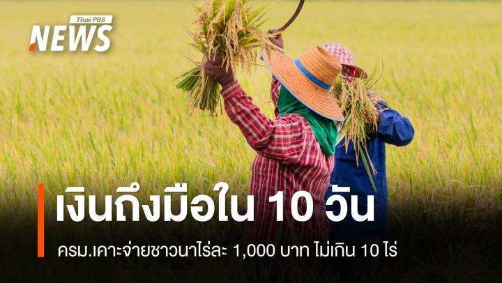 ครม.เคาะจ่ายชาวนาไร่ละ 1,000 บาท ไม่เกิน 10 ไร่ ถึงมือใน 10 วัน