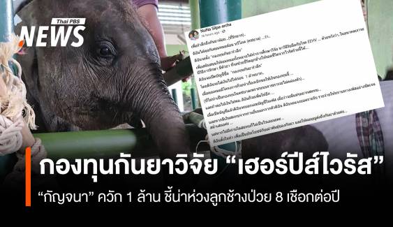 "กัญจนา" ควัก 1 ล้านตั้งกองทุนกันยาวิจัย "เฮอร์ปีส์ไวรัสช้าง"