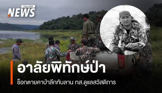 อาลัย "พิทักษ์ป่า" ช็อกตายกลางป่าลึกทับลานลำเลียงศพ 5 ชม.  