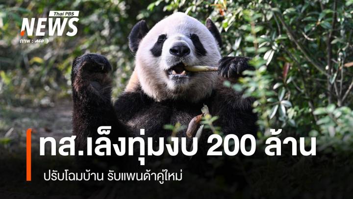 ทส.เล็งใช้งบ 200 ล้าน ปรับโฉมบ้านรับแพนด้าคู่ใหม่