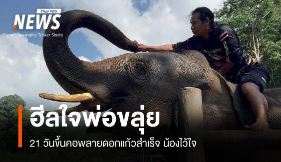 21 วันควาญขลุ่ยขึ้นคอ "พลายดอกแก้ว" สำเร็จหลังย้ายบ้านใหม่ 