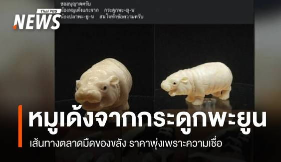 เปิดเส้นทางตลาดมืด "ซากพะยูน" ราคาพุ่งจากความเชื่อ