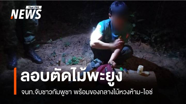 จับชาวกัมพูชาลอบตัด "ไม้พะยูง" ป่าห้วยทับทัน 