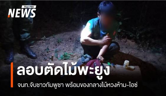 จับชาวกัมพูชาลอบตัด "ไม้พะยูง" ป่าห้วยทับทัน 