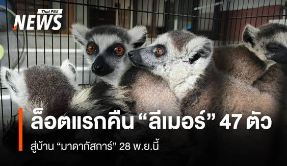 ล็อตใหญ่สุด คืน 961 ชีวิตลีเมอร์-เต่าหายาก สู่ถิ่นกำเนิด