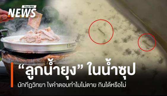 ไขคำตอบ! ลูกน้ำยุงลายดิ้นโชว์ ในน้ำซุปหมูกระทะ