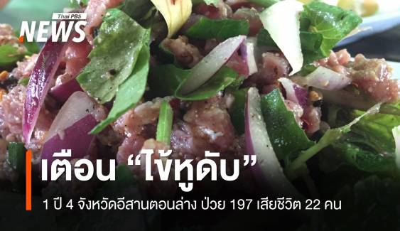 เปิดสถิติ 1 ปี 4 จังหวัดอีสานตอนล่าง "ไข้หูดับ" เสียชีวิต 22 คน 