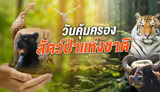 26 ธันวาคม วันคุ้มครองสัตว์ป่าแห่งชาติ มารู้จัก "สัตว์ป่าสงวน-คุ้มครอง" 