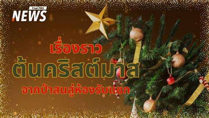 "ต้นคริสต์มาส" ตำนาน ประเพณี ข้อเท็จจริงสนุก ๆ ที่น่ารู้